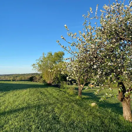 Le Colibri Des Prés Maurens (Dordogne)
